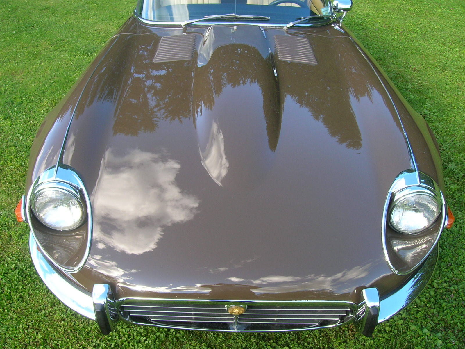 1973 Sable Jaguar E-Type Convertible
