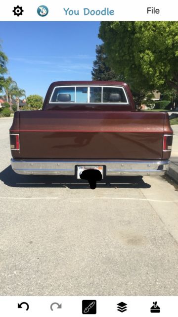 1974 Brown Chevrolet C-10