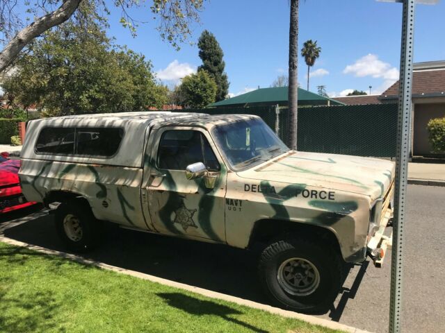 1974 Camo Chevrolet Cheyenne Cab & Chassis