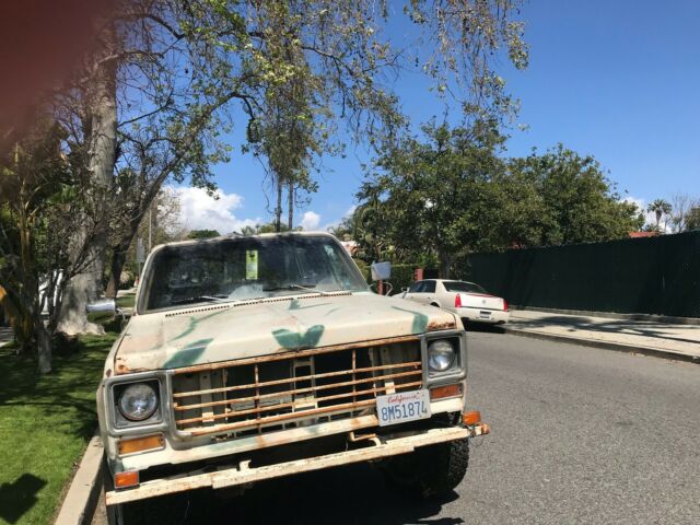 1974 Camo Chevrolet Cheyenne Cab & Chassis