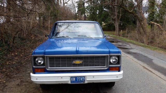 1974 Blue Chevrolet C-10 Standard Cab Pickup