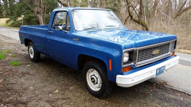 1974 Blue Chevrolet C-10 Standard Cab Pickup