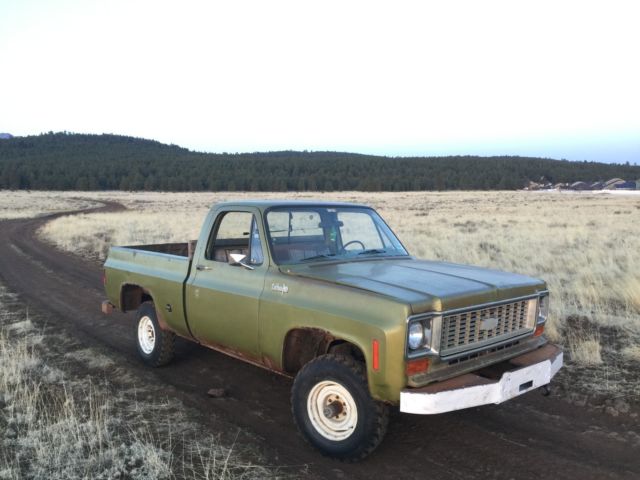 1974 Chevrolet C-10