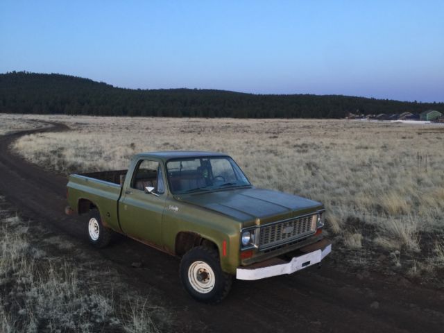 1974 Chevrolet C-10