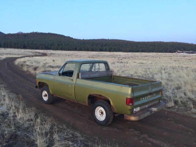 1974 Chevrolet C-10