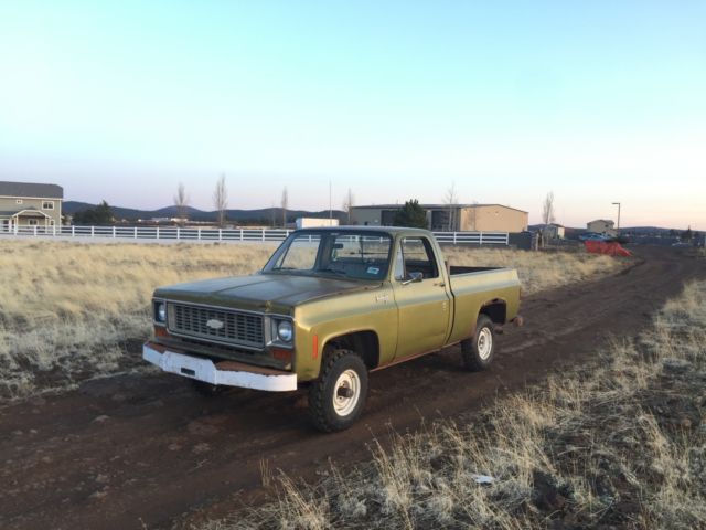 1974 Chevrolet C-10