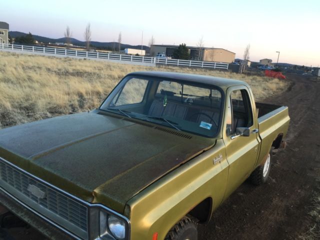 1974 Chevrolet C-10