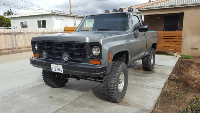 1974 Gray Chevrolet C/K Pickup 1500