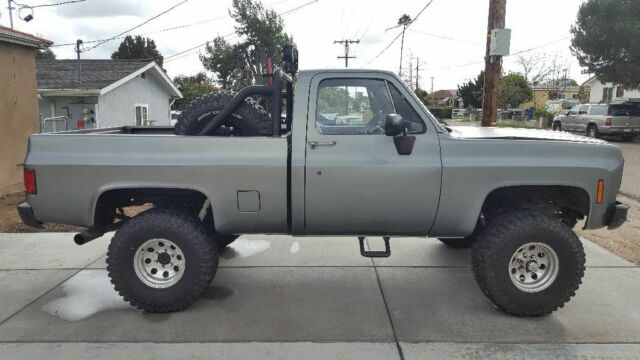 1974 Gray Chevrolet C/K Pickup 1500