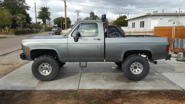 1974 Gray Chevrolet C/K Pickup 1500