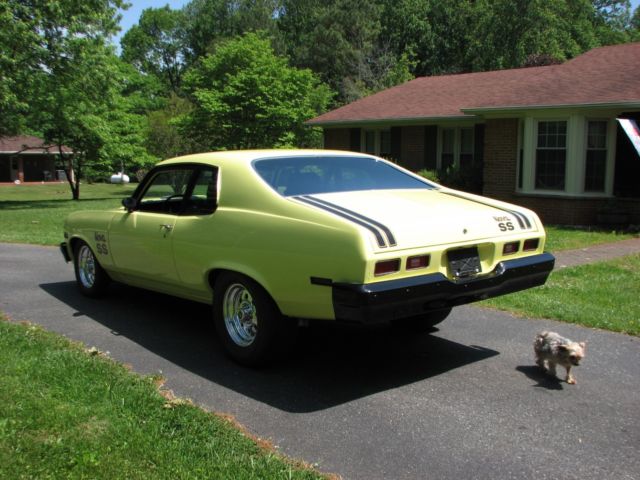 1974 Yellow Chevrolet Nova