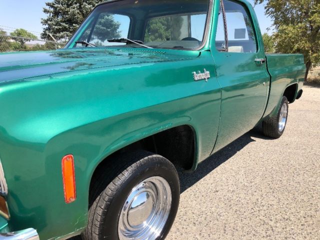 1974 Green Chevrolet C-10 Single cab