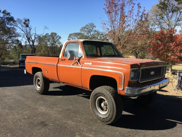 1974 Tan Chevrolet Other Pickups Standard Cab Pickup