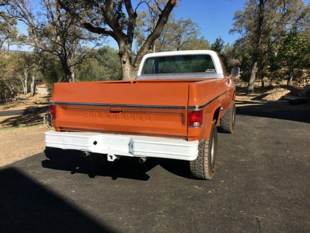 1974 Tan Chevrolet Other Pickups Standard Cab Pickup