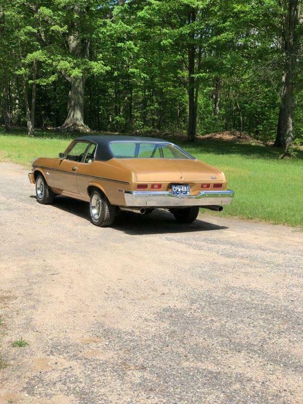 1974 Gold/Black vinyl top Chevrolet Nova Coupe