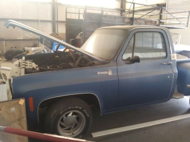 1974 Chevrolet Other Pickups