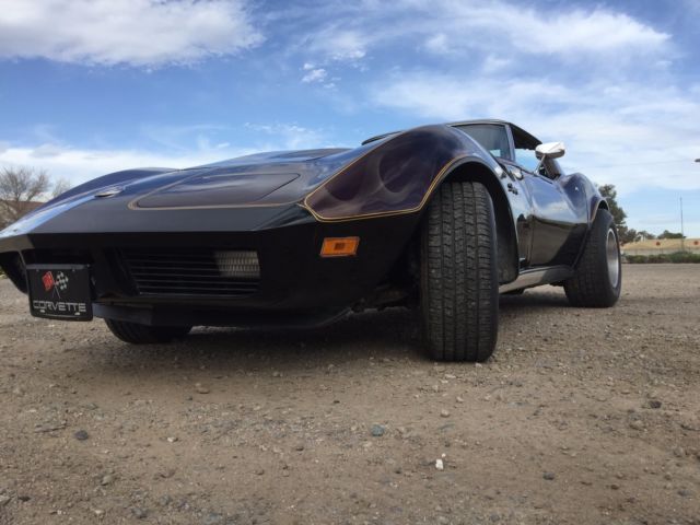 1974 Custom Chevrolet Corvette T-tops