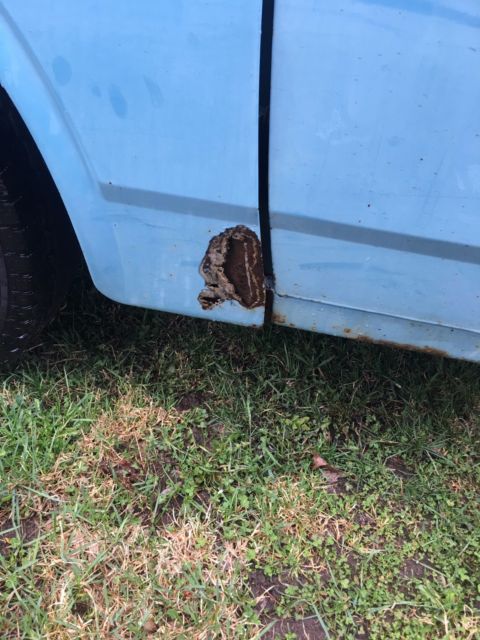 1974 Blue Toyota Other Standard Cab Pickup