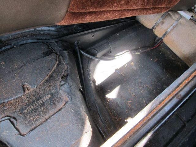 1974 Gold Volkswagen Beetle - Classic