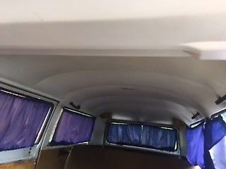 1974 Volkswagen Bus/Vanagon