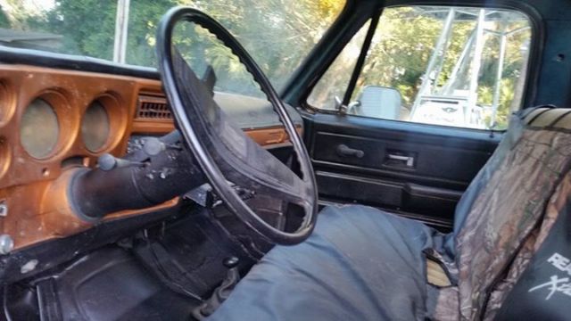 1974 Black Chevrolet C20 Standard Cab Pickup