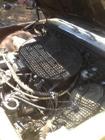 1975 YELLOW Mercedes-Benz S-Class Sedan