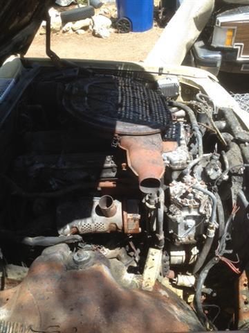 1975 YELLOW Mercedes-Benz S-Class Sedan