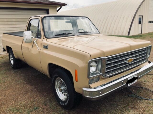 1975 Tan Chevrolet Other Pickups Standard Cab Pickup