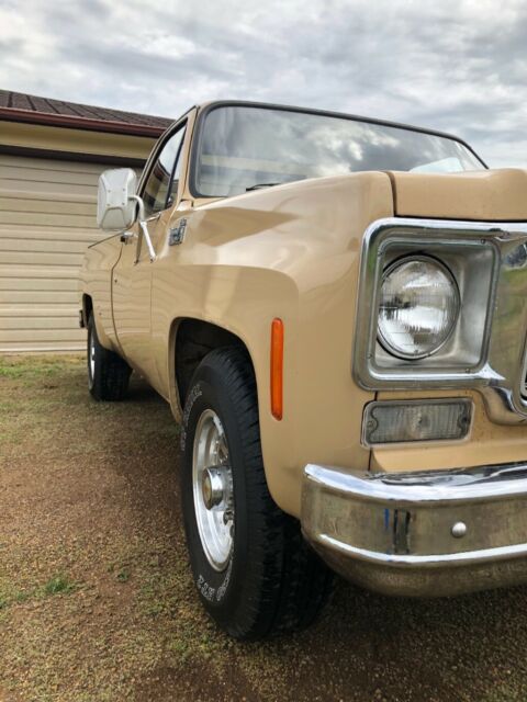 1975 Tan Chevrolet Other Pickups Standard Cab Pickup