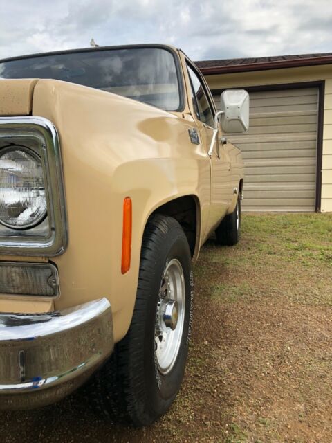 1975 Tan Chevrolet Other Pickups Standard Cab Pickup