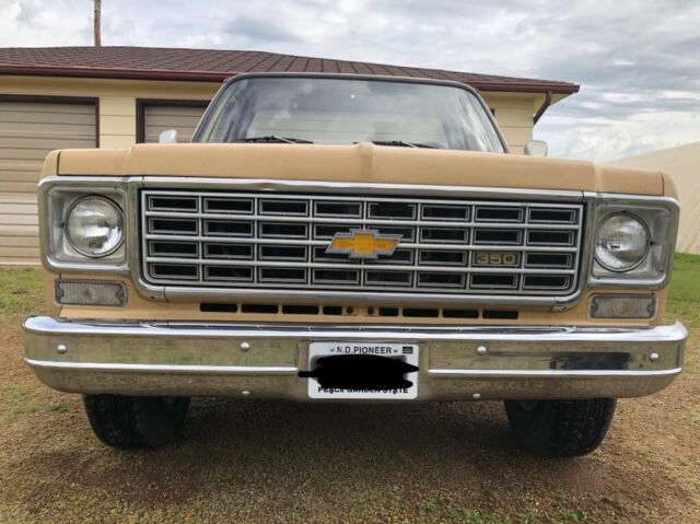 1975 Tan Chevrolet Other Pickups Standard Cab Pickup
