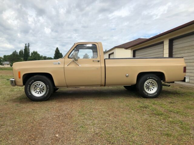 1975 Tan Chevrolet Other Pickups Standard Cab Pickup