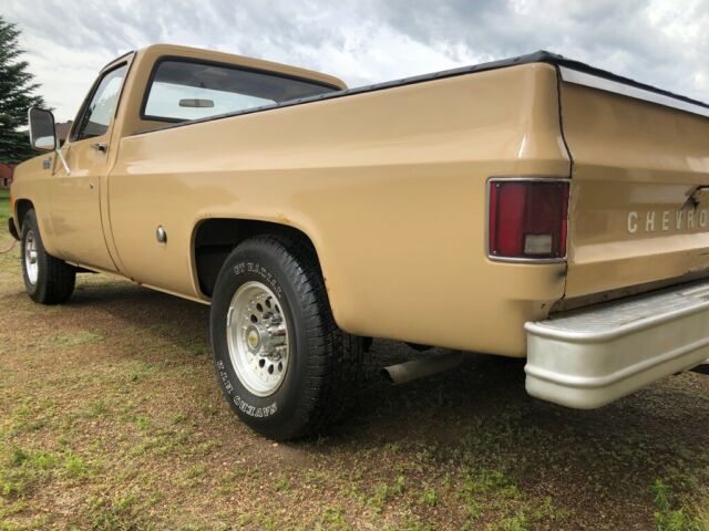 1975 Tan Chevrolet Other Pickups Standard Cab Pickup