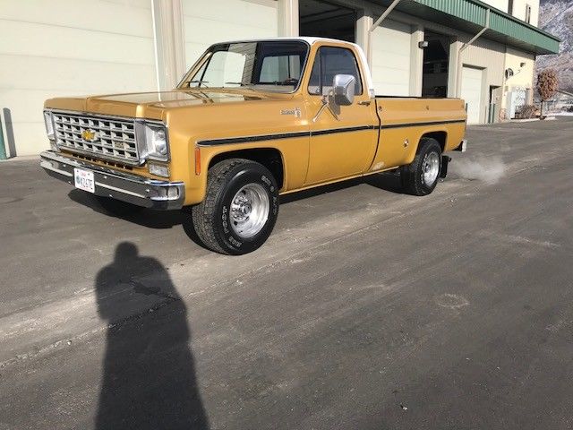 1975 Brown Chevrolet C/K Pickup 2500 Standard Cab Pickup