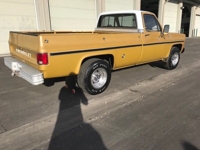 1975 Brown Chevrolet C/K Pickup 2500 Standard Cab Pickup