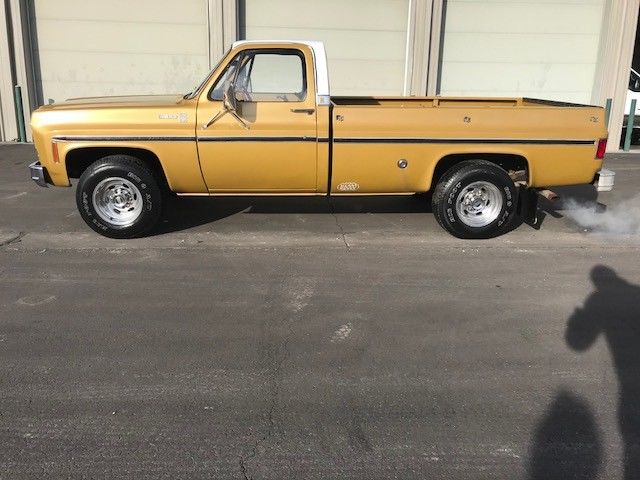 1975 Brown Chevrolet C/K Pickup 2500 Standard Cab Pickup