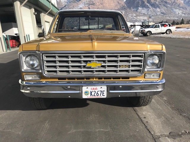 1975 Brown Chevrolet C/K Pickup 2500 Standard Cab Pickup