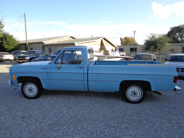 1975 Skyline Blue Chevrolet C-10 Standard Cab Pickup