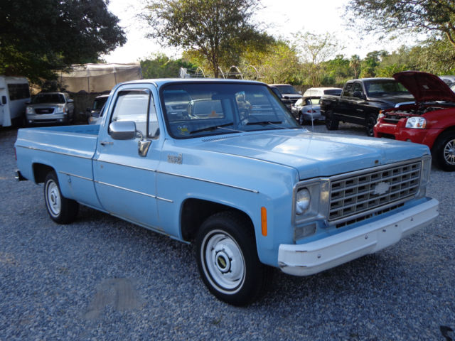 1975 Skyline Blue Chevrolet C-10 Standard Cab Pickup