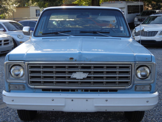 1975 Skyline Blue Chevrolet C-10 Standard Cab Pickup