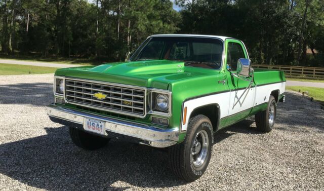 1975 green/white Chevrolet Other Standard Cab Pickup