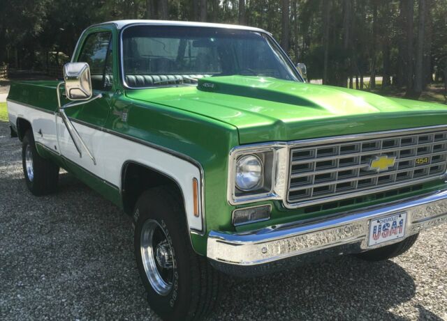 1975 green/white Chevrolet Other Standard Cab Pickup
