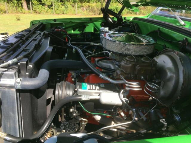 1975 green/white Chevrolet Other Standard Cab Pickup