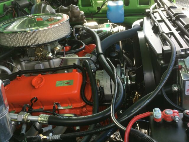 1975 green/white Chevrolet Other Standard Cab Pickup