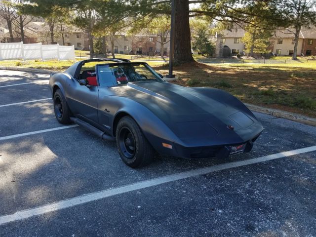 1975 Gray Chevrolet Corvette Coupe