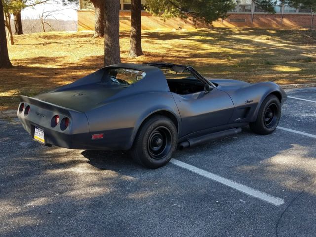 1975 Gray Chevrolet Corvette Coupe