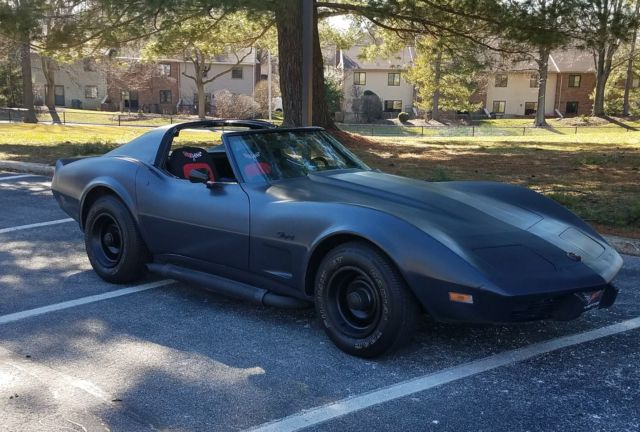 1975 Gray Chevrolet Corvette Coupe