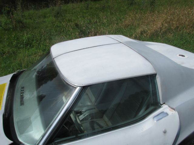 1975 Gray Chevrolet Corvette Coupe