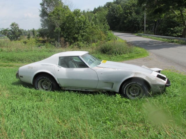 1975 Gray Chevrolet Corvette Coupe