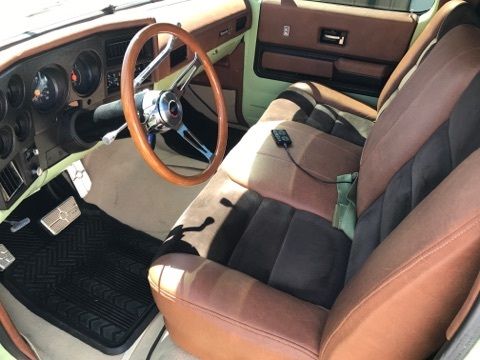 1975 Green Chevrolet Silverado 1500 Standard Cab Pickup